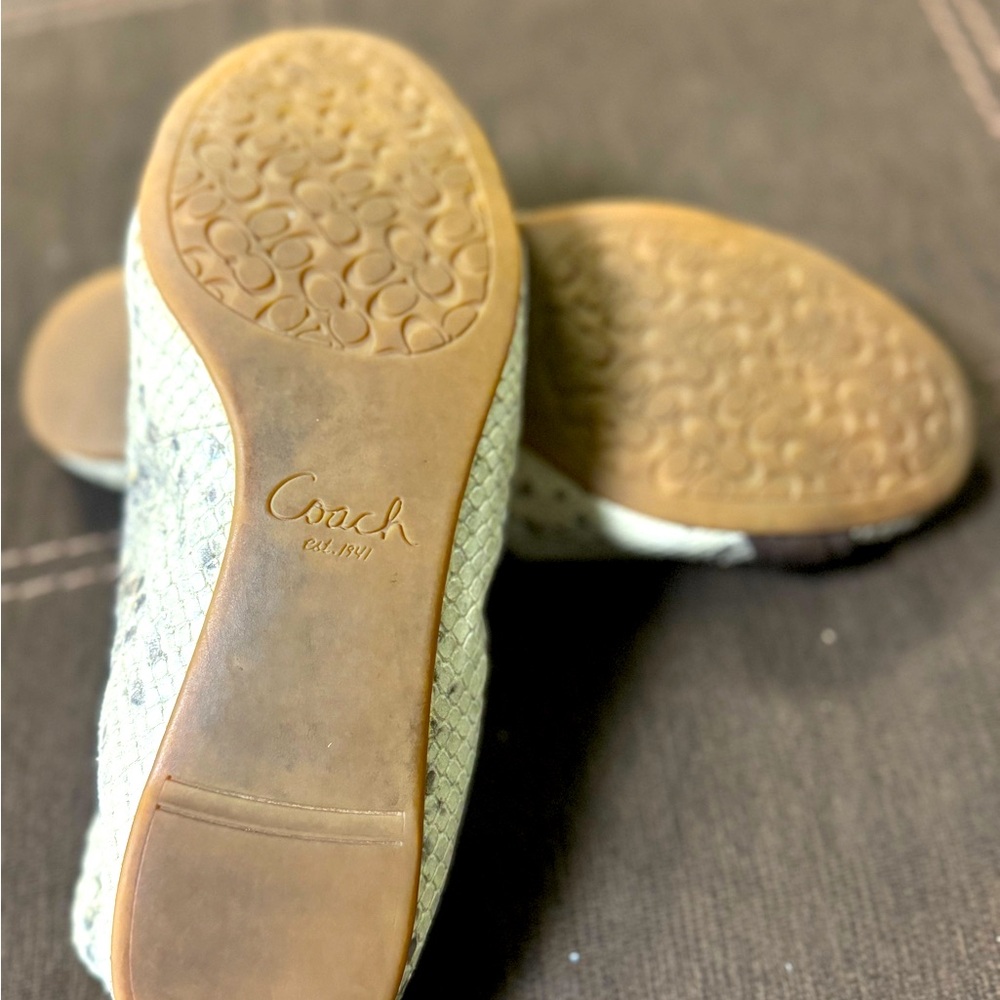 Coach Shoes